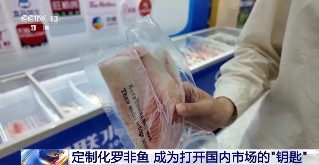 广东这种鱼正加速“变身”，从海外游上“中国餐桌”