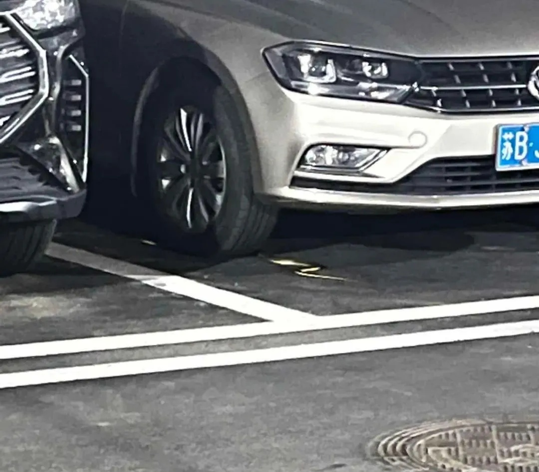 2米大蛇钻进电动车！近期频频出没，上海多个公园也曾出现，种类还不少……