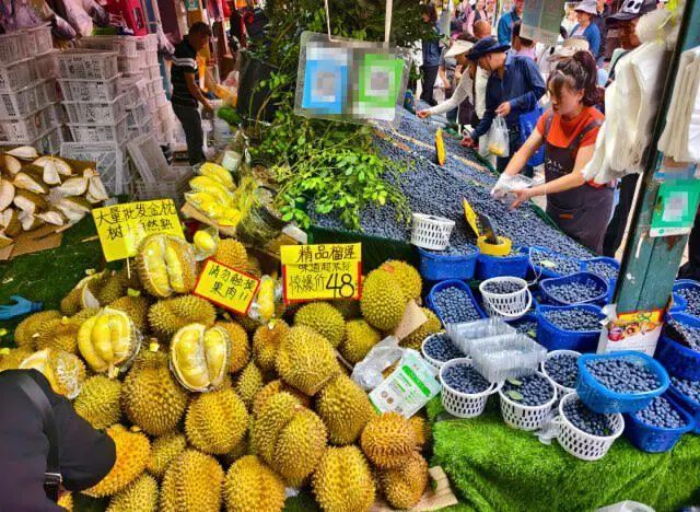 仙人掌还能做雪糕？云南，还是太超前了！