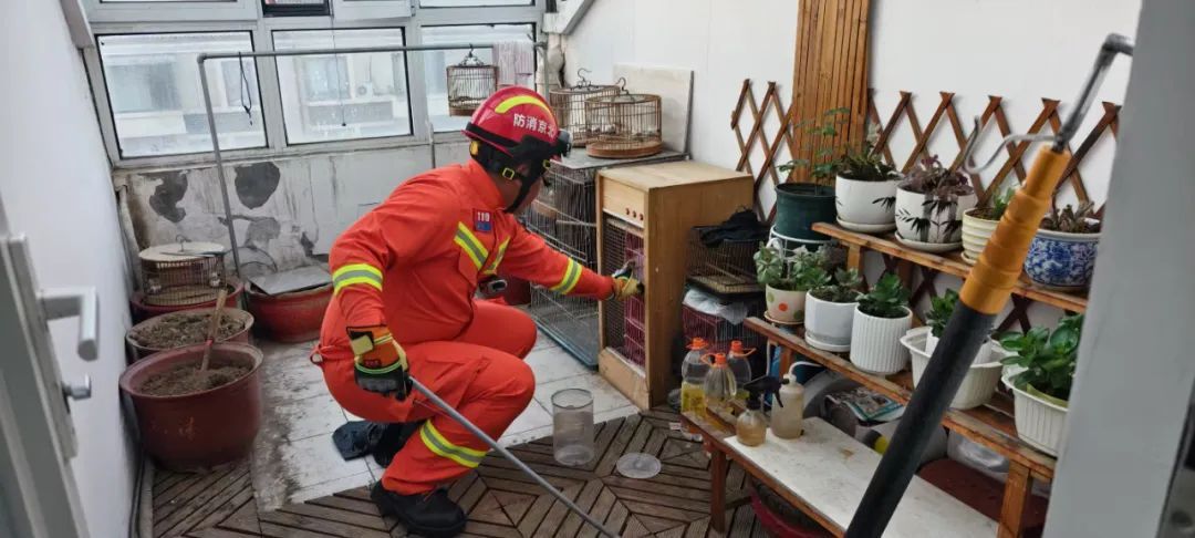“贪吃蛇”溜进居民家大吃特吃 消防及时捕捉