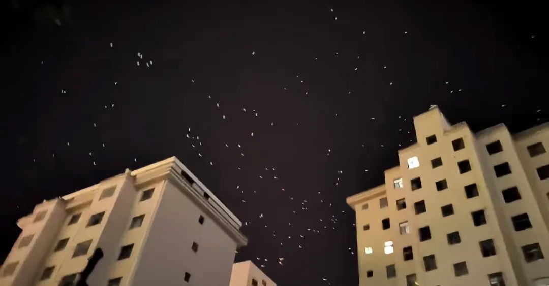 甘肃一地现大量飞鸟在天空盘旋，有网友担心为地震前兆，地震局：鸟类聚集并非特别异常