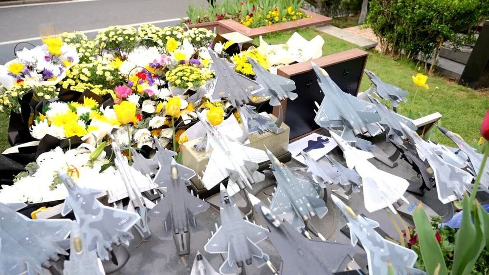 “海空卫士”王伟妻子人民日报深情撰文