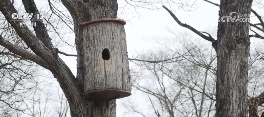 多举措绘就生态画卷:珍稀物种种群恢复 栖息地生机盎然 多举措绘就生态画卷:珍稀物种种群恢复 栖息地生机盎然