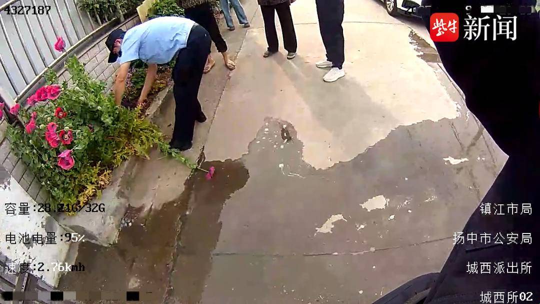 表扬!小孩哥发现罂粟花果断报警 表扬!小孩哥发现罂粟花果断报警