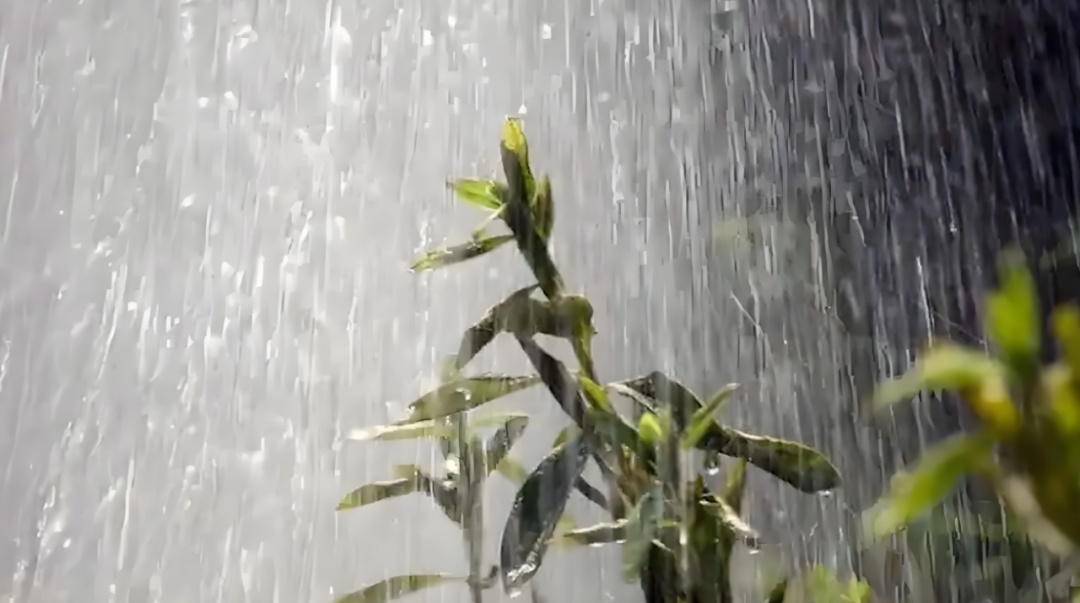 @贵州人,下班赶紧回家!这些地方有大暴雨 @贵州人,下班赶紧回家!这些地方有大暴雨