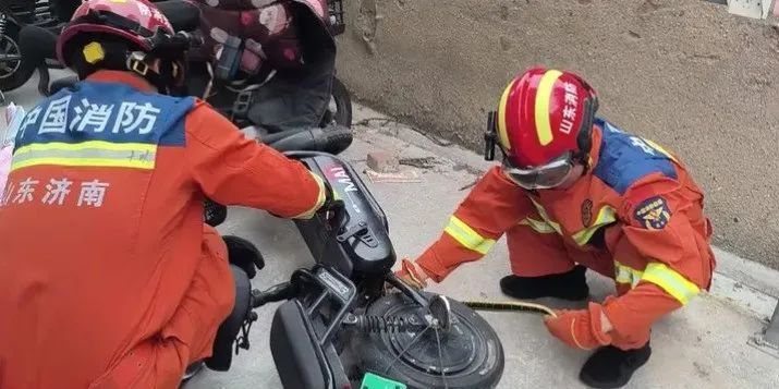 2米大蛇钻进电动车！近期频频出没，上海多个公园也曾出现，种类还不少……