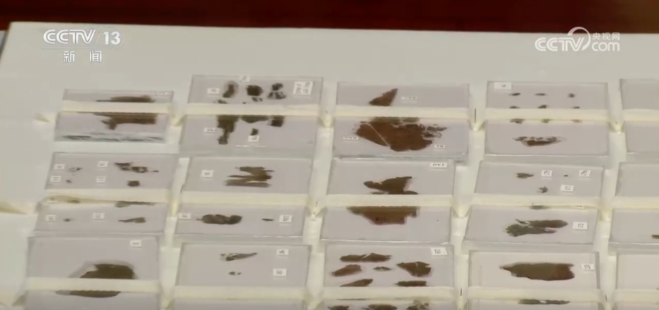 流失海外79载 国宝帛书回归祖国怀抱 流失海外79载 国宝帛书回归祖国怀抱