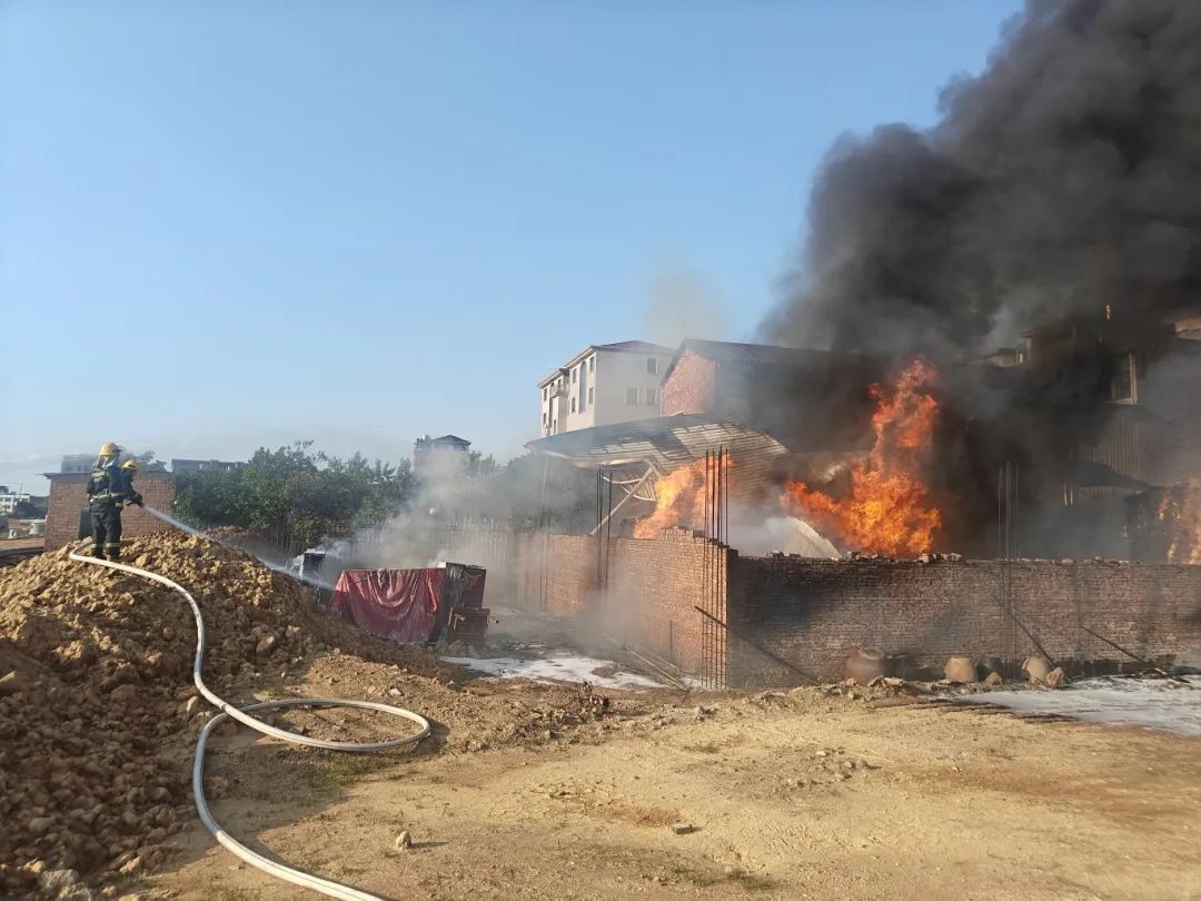 民房藏“宝”惹大事，这家的后院摊上事了......