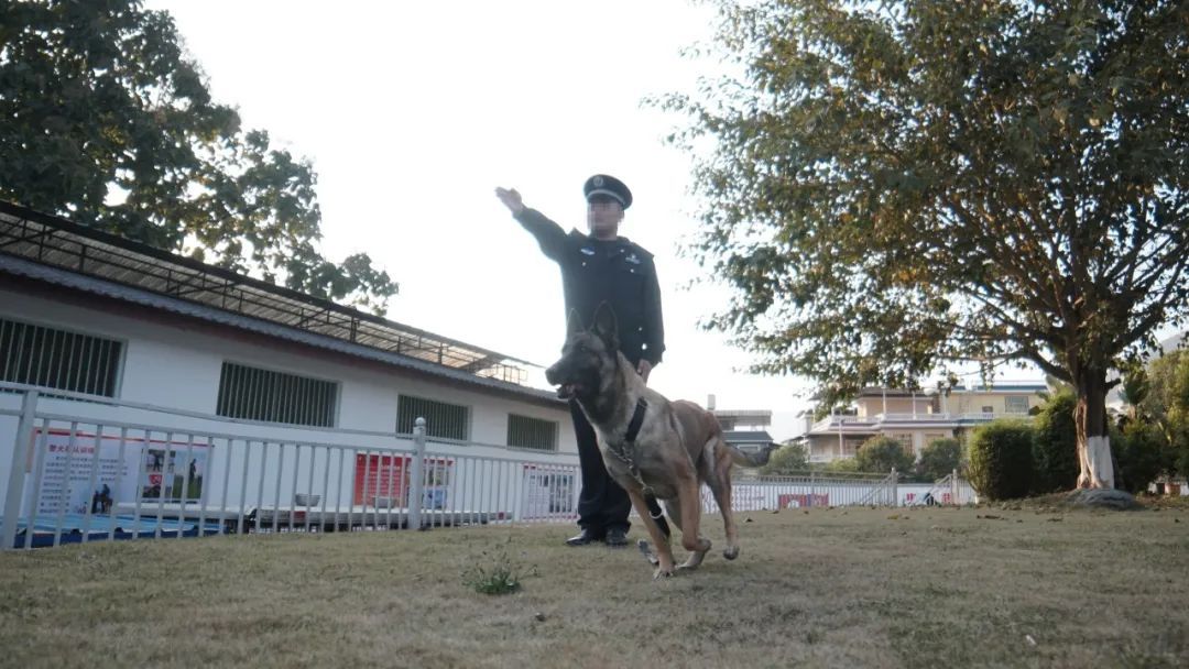 从警8年缉毒80余公斤，这个功勋“辣妹子”走了……