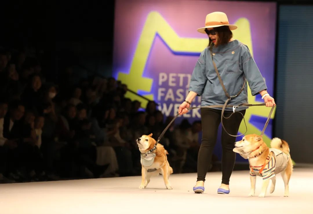 “养儿式”养宠,成消费新趋势 “养儿式”养宠,成消费新趋势