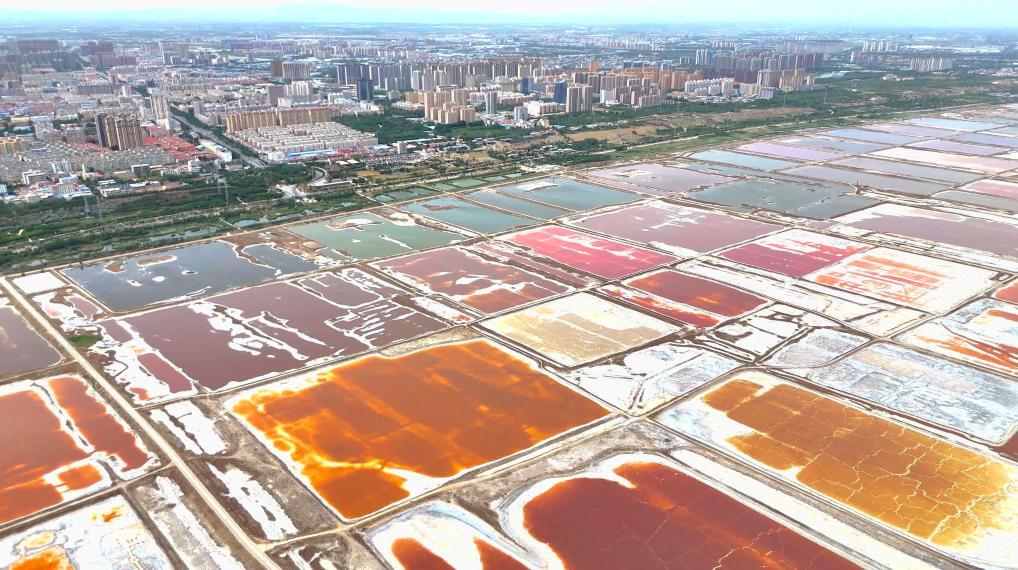 气温升高 山西运城盐湖呈现“调色盘”奇特景观 气温升高 山西运城盐湖呈现“调色盘”奇特景观