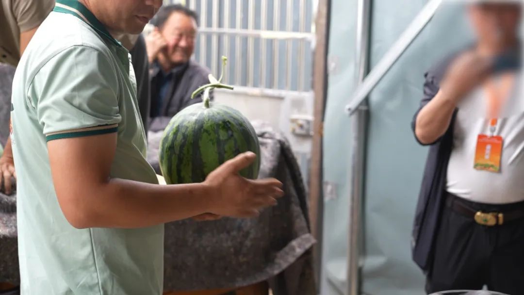 河南90后小伙每天拍拍西瓜,日入1600元!网友:感觉我也可以 河南90后小伙每天拍拍西瓜,日入1600元!网友:感觉我也可以