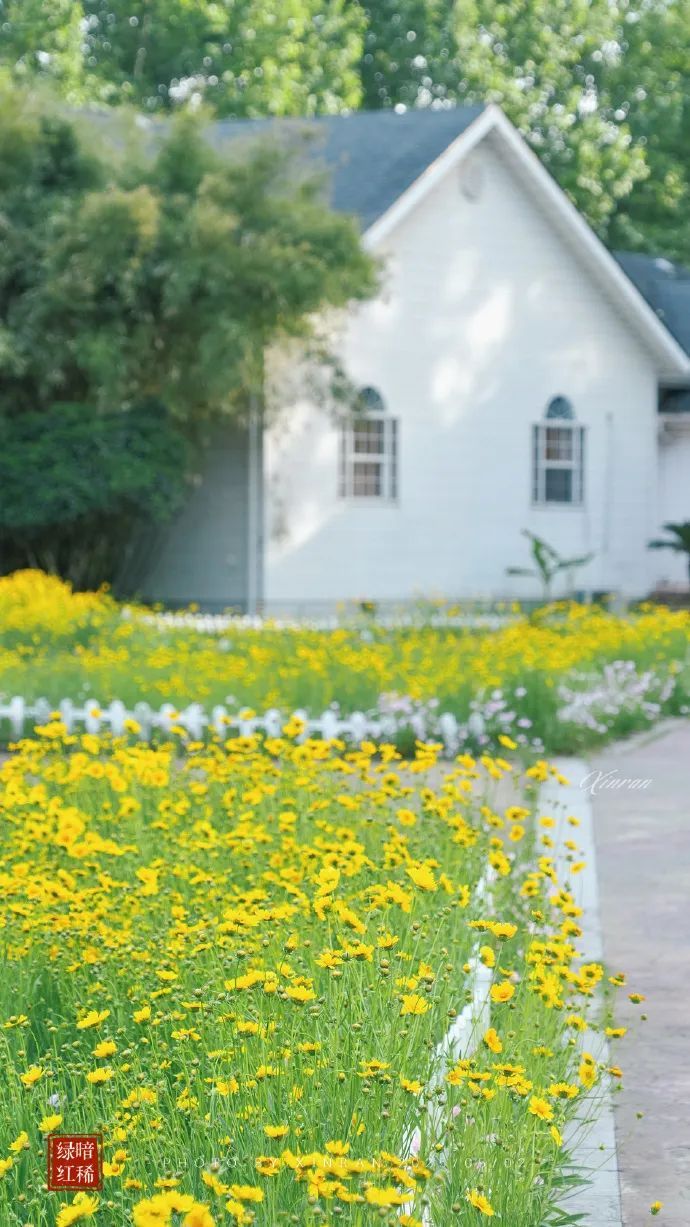 南京官宣!正式进入…… 南京官宣!正式进入……