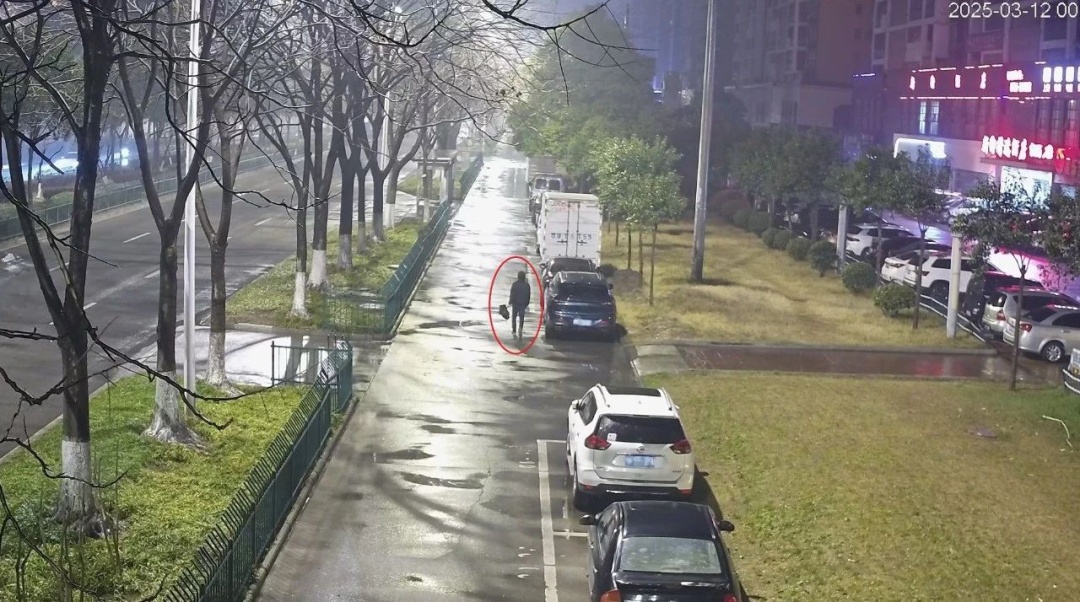 仙桃公安擒惯偷破三起砸车窗盗窃案