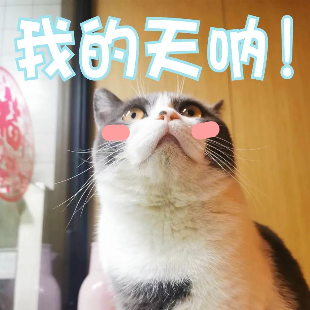 福州高三男生，把自己的腿掐得青紫！真相令人唏嘘