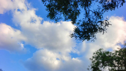 出行注意防风防火！北京大风 黄色预警中 北京大风将持续到傍晚