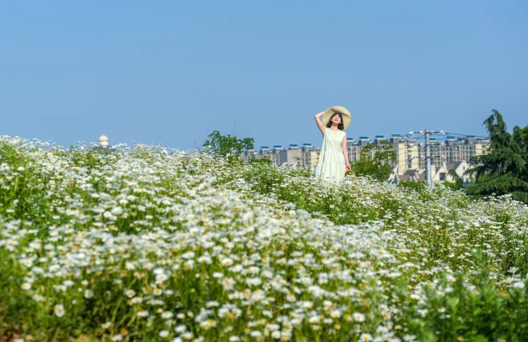 南京官宣!正式进入…… 南京官宣!正式进入……