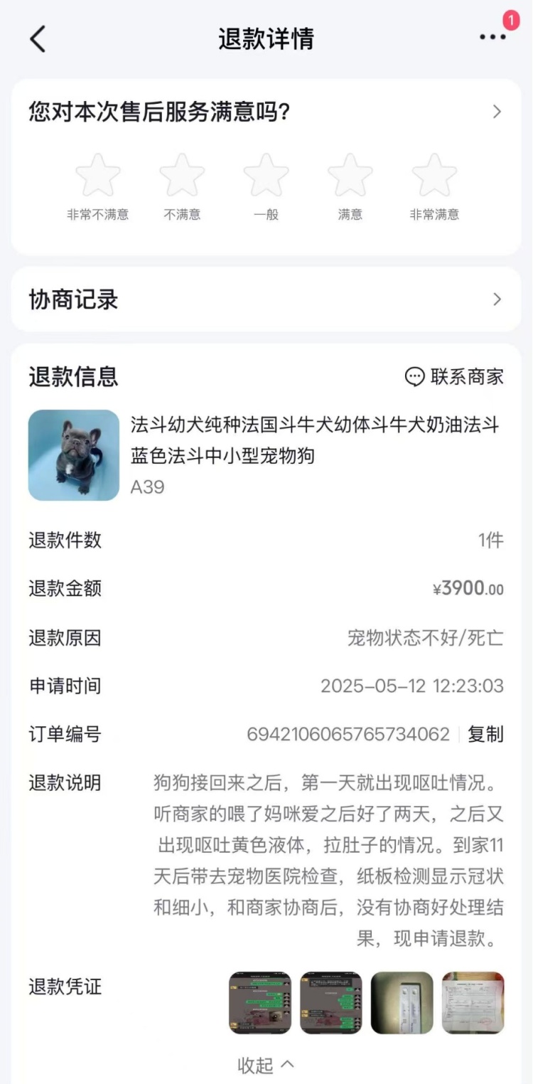 花3900买宠物狗，刚到家就抽搐、拉肚子……买到“星期宠”怎么办？