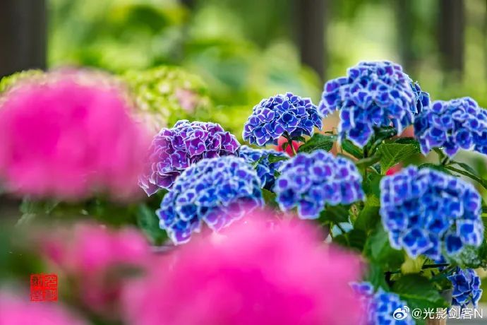 南京官宣!正式进入…… 南京官宣!正式进入……