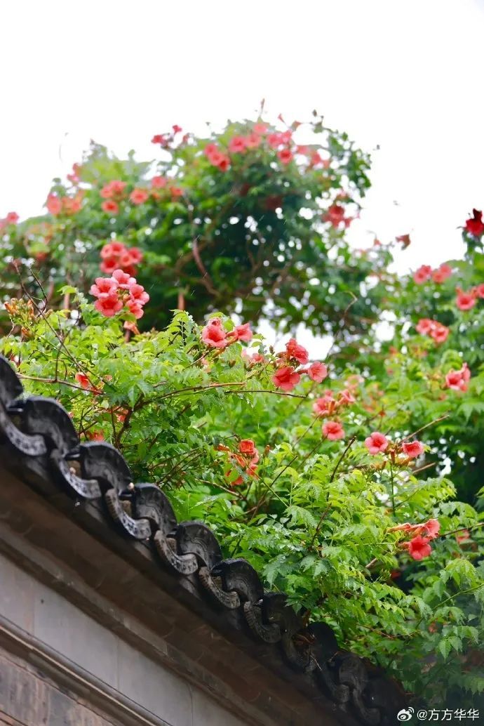 南京官宣!正式进入…… 南京官宣!正式进入……