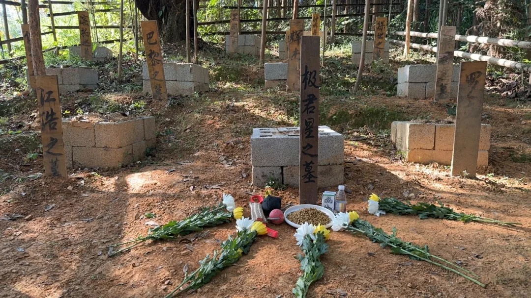 “极君星”走了……