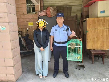 一级保护动物蜂猴误闯居民家，夫妻俩不慎被咬伤