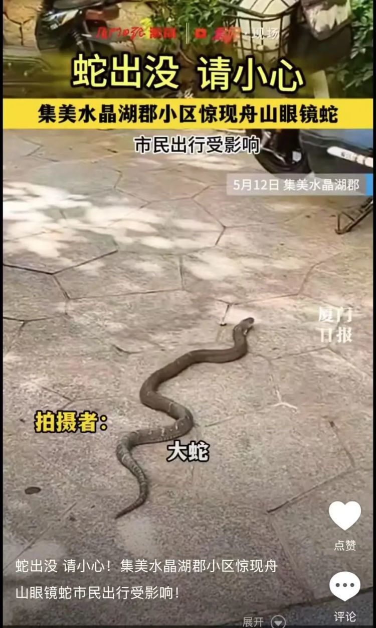 注意!厦门近期多个小区有“不速之客”!医生提醒…… 注意!厦门近期多个小区有“不速之客”!医生提醒……