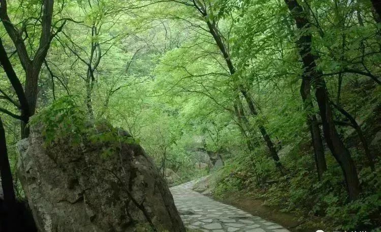 好消息!河北多家景区推出免票、半价、优惠...... 好消息!河北多家景区推出免票、半价、优惠......