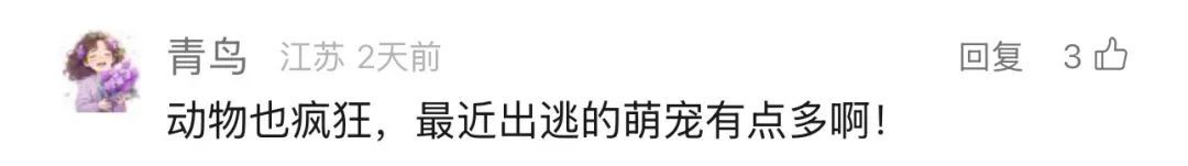 伙同"女朋友"私奔！不止一次！悬赏5000元抓回来！