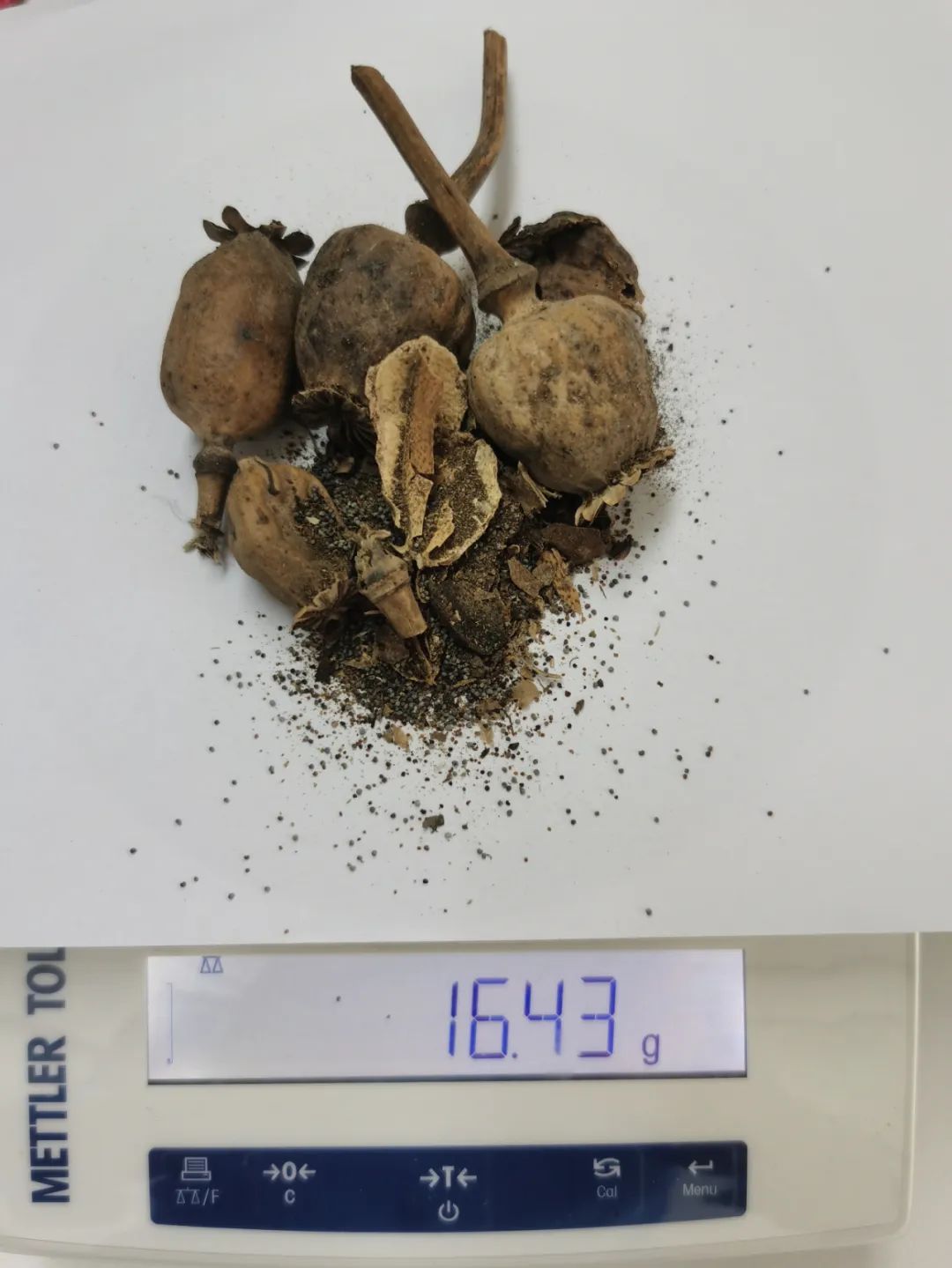 一村民种植“罂粟”竟为喂鸡？警方：违法！