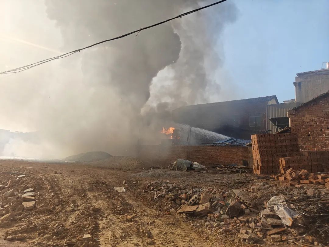 民房藏“宝”惹大事，这家的后院摊上事了......