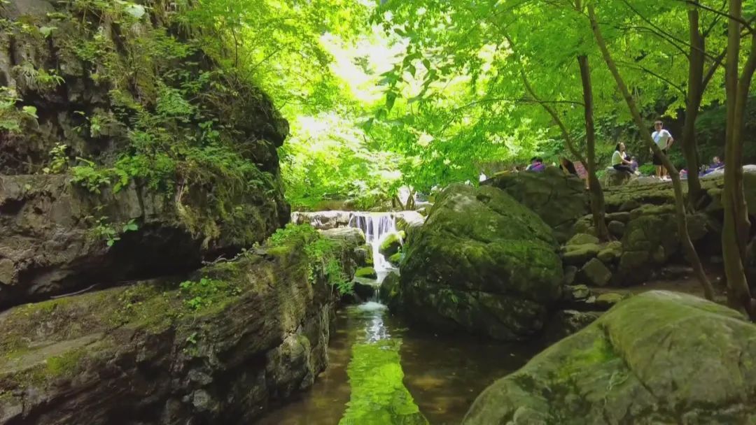 好消息!河北多家景区推出免票、半价、优惠...... 好消息!河北多家景区推出免票、半价、优惠......