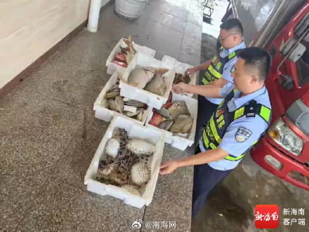 文昌查获一艘休渔期违规出海渔船，缴获渔获物269斤