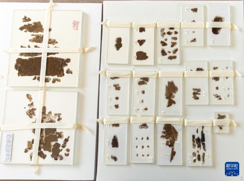 子弹库帛书《五行令》《攻守占》回归祖国 子弹库帛书《五行令》《攻守占》回归祖国