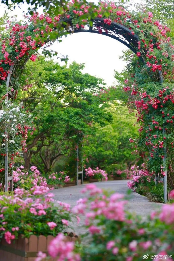 南京官宣!正式进入…… 南京官宣!正式进入……