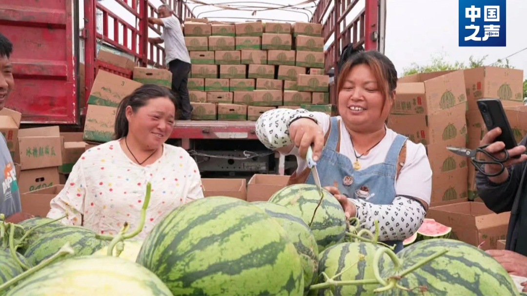 拍拍西瓜就能月入过万？这类人才很抢手