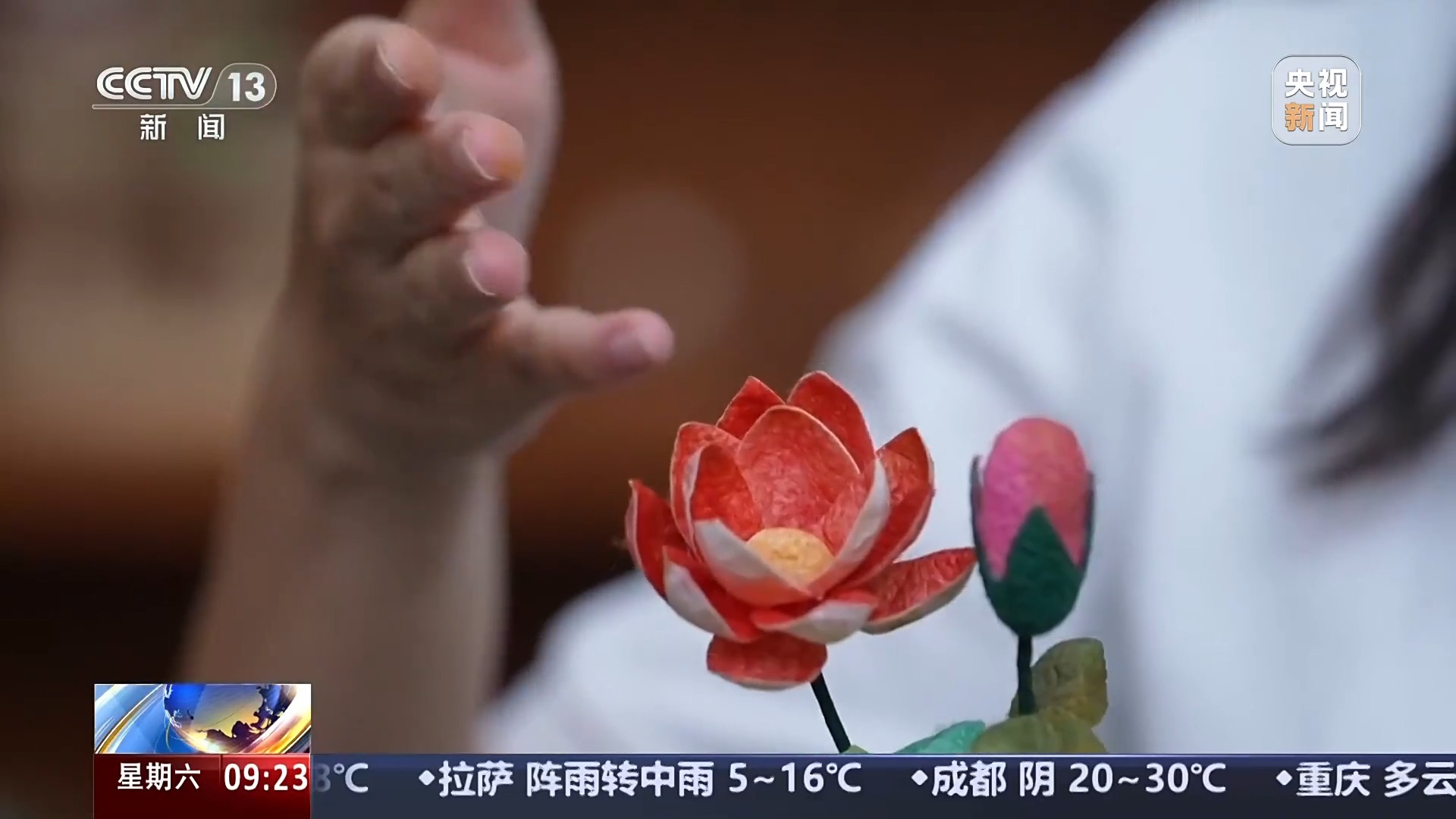 文化中国行丨3000多岁的对“象”、奇幻的昆虫世界……这些博物馆能玩又能学 文化中国行丨3000多岁的对“象”、奇幻的昆虫世界……这些博物馆能玩又能学