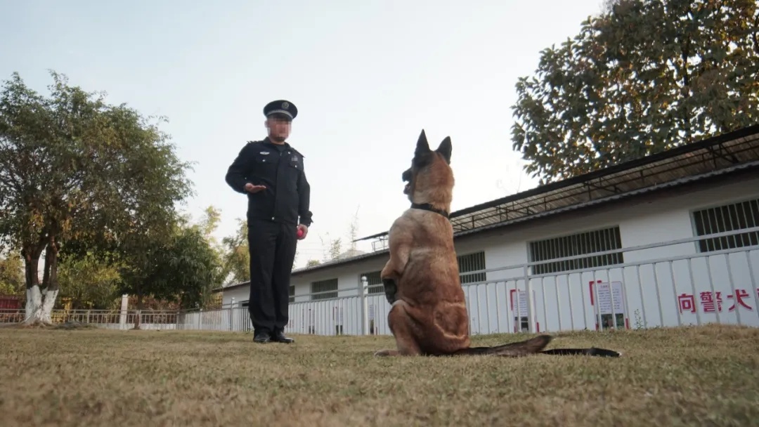 “极君星”走了……