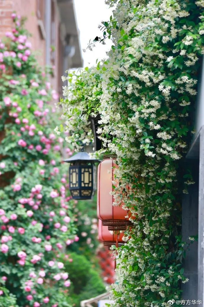 南京官宣!正式进入…… 南京官宣!正式进入……