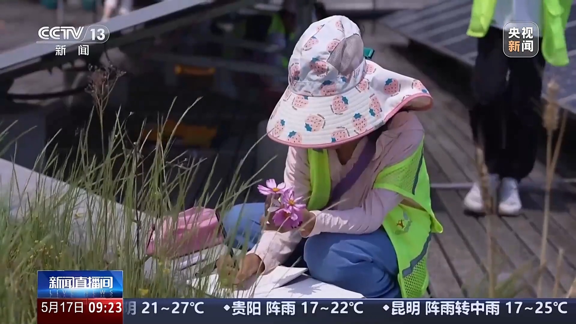 文化中国行丨3000多岁的对“象”、奇幻的昆虫世界……这些博物馆能玩又能学 文化中国行丨3000多岁的对“象”、奇幻的昆虫世界……这些博物馆能玩又能学