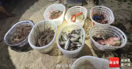 文昌查获一艘休渔期违规出海渔船，缴获渔获物269斤