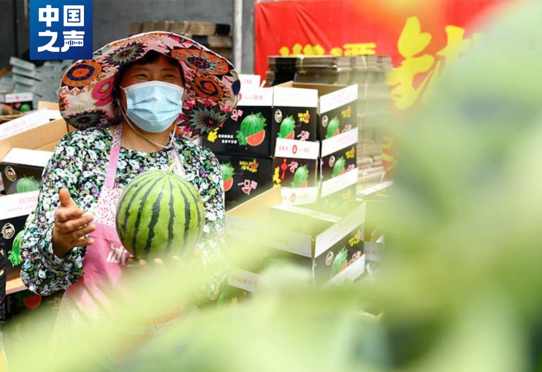 拍拍西瓜就能月入过万？这类人才很抢手