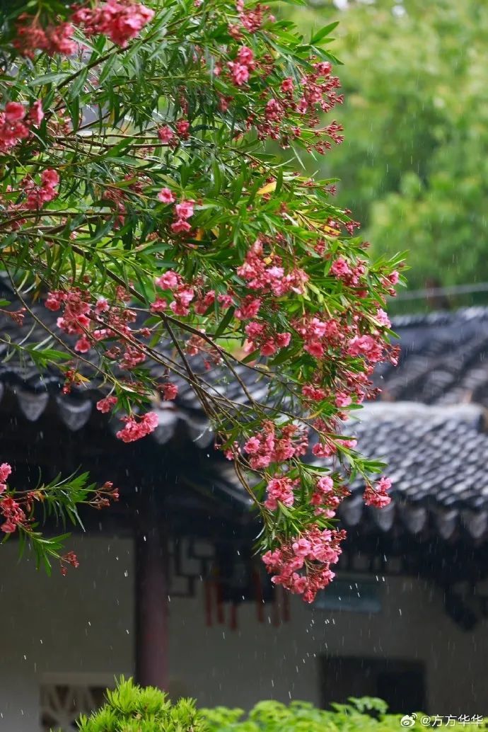 南京官宣!正式进入…… 南京官宣!正式进入……