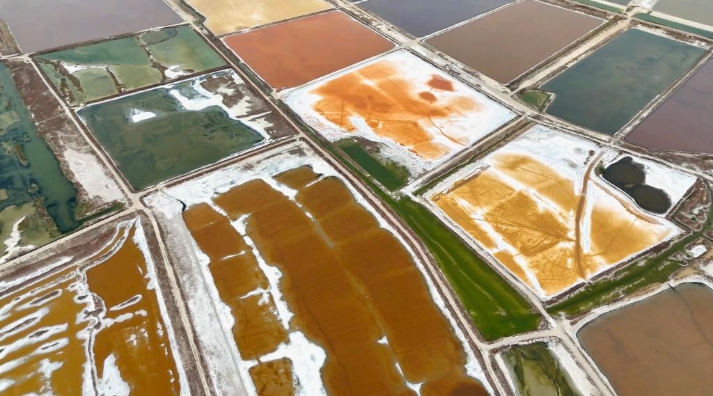 气温升高 山西运城盐湖呈现“调色盘”奇特景观 气温升高 山西运城盐湖呈现“调色盘”奇特景观