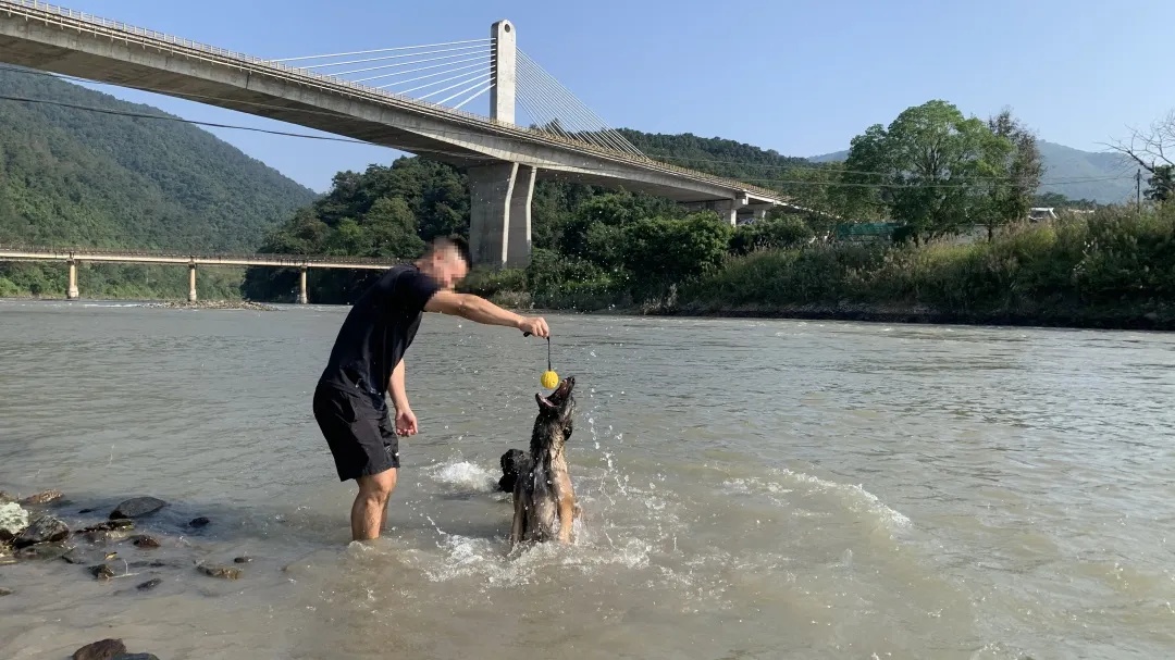 “极君星”走了……