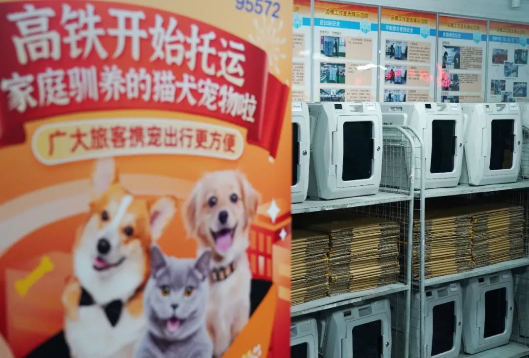 “养儿式”养宠,成消费新趋势 “养儿式”养宠,成消费新趋势