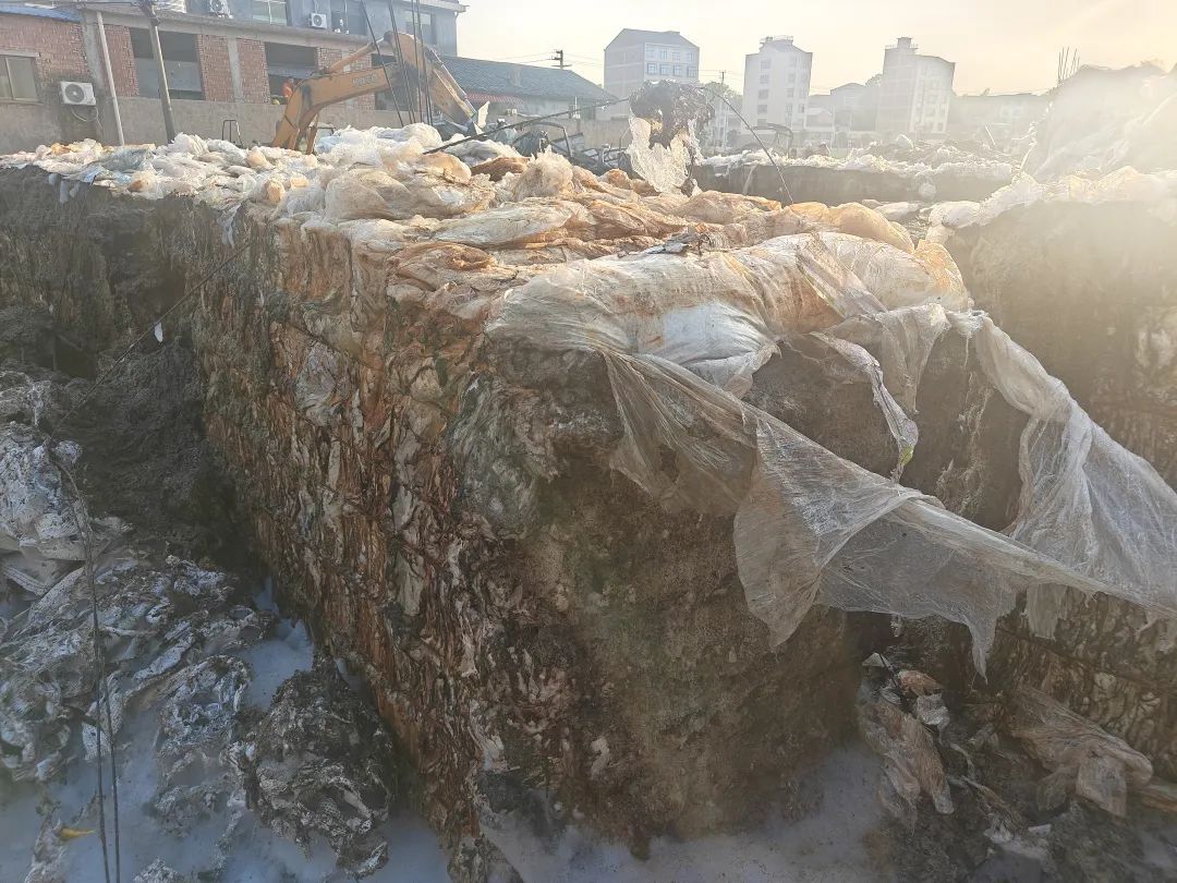 民房藏“宝”惹大事，这家的后院摊上事了......