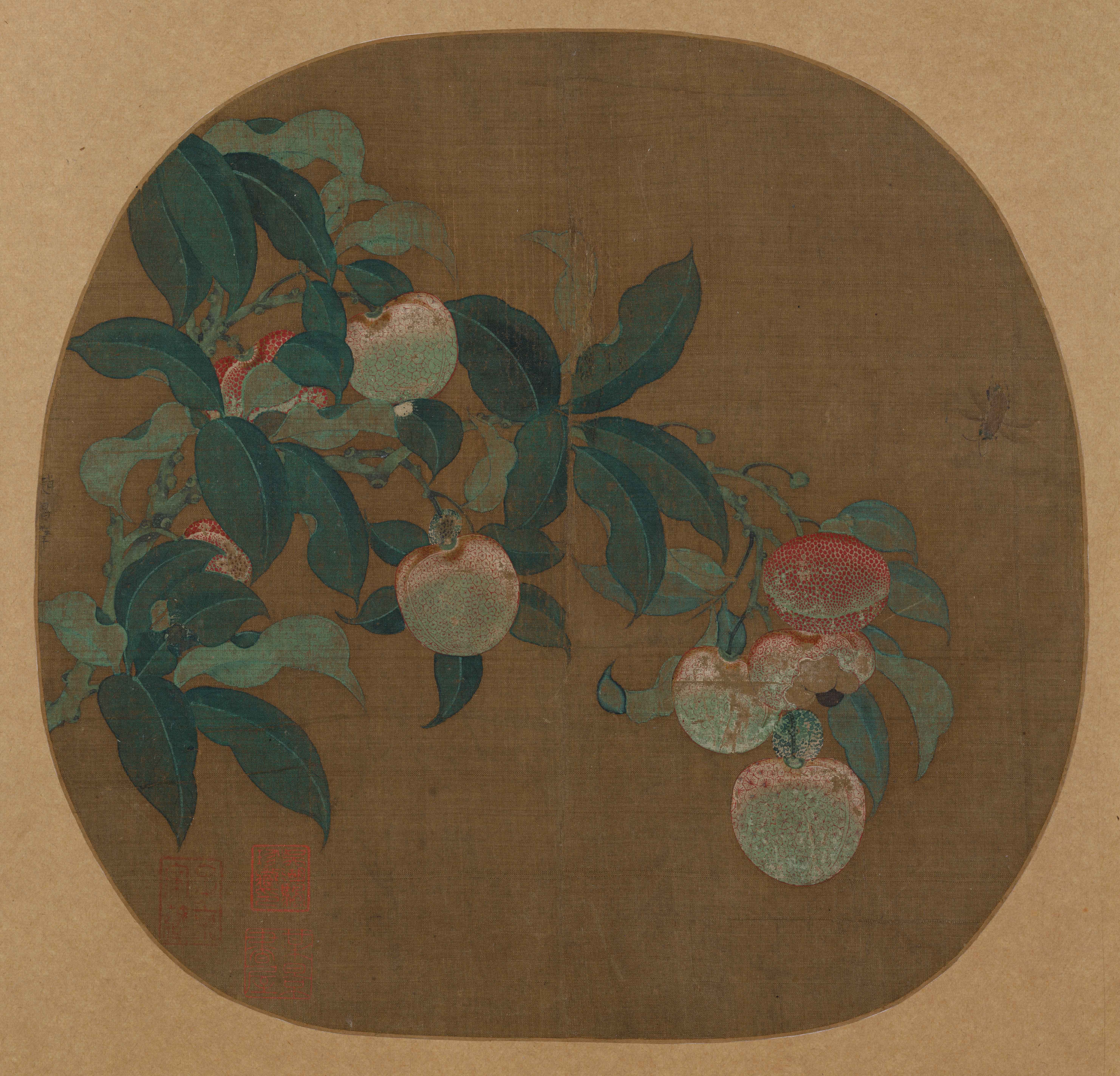 文博日历丨这颗荔枝“保鲜”700年 文博日历丨这颗荔枝“保鲜”700年