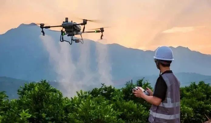 河南90后小伙每天拍拍西瓜,日入1600元!网友:感觉我也可以 河南90后小伙每天拍拍西瓜,日入1600元!网友:感觉我也可以