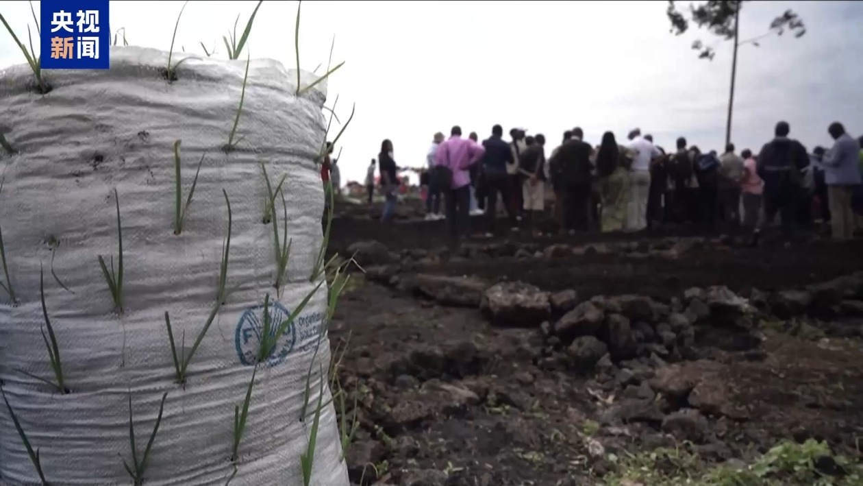 连续6年增长 全球近3亿人面临严重粮食不安全问题 连续6年增长 全球近3亿人面临严重粮食不安全问题